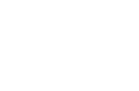 eagleone